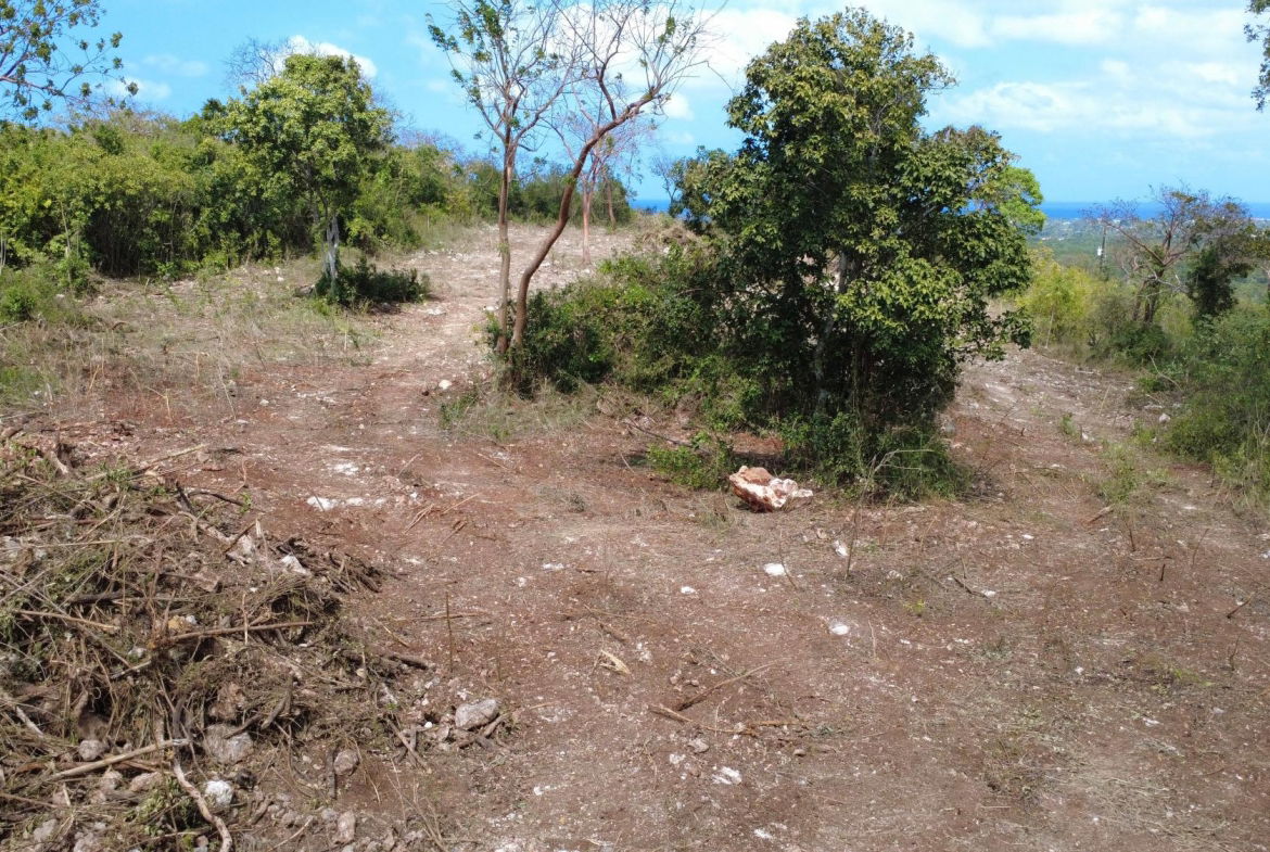 Twelfth image of Greenside, Trelawny in Greenside, Trelawny, Jamaica - property is For Sale