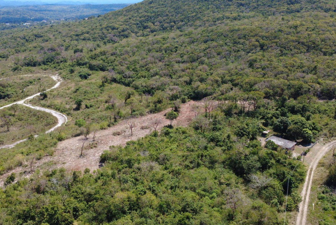 Thirteenth image of Greenside, Trelawny in Greenside, Trelawny, Jamaica - property is For Sale