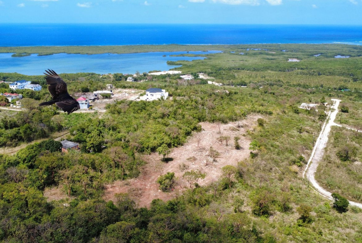 Seventh image of Greenside, Trelawny in Greenside, Trelawny, Jamaica - property is For Sale