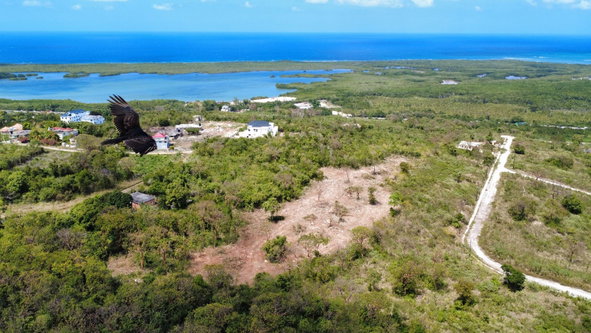Seventh image of Greenside, Trelawny in Greenside, Trelawny, Jamaica - property is For Sale