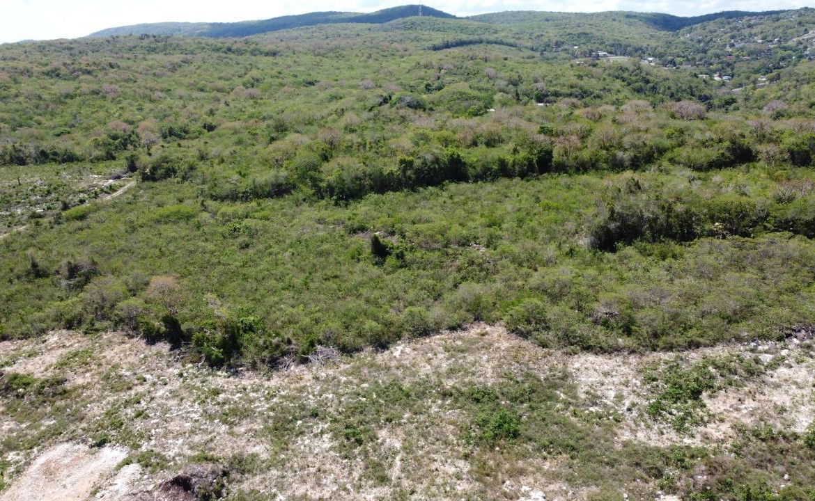 Twenty-Fifth image of Falmouth, Clermont in Falmouth, Trelawny, Jamaica - property is For Sale