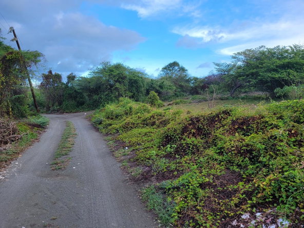 Ninth image of Pondside Yallahs in Yallahs, St. Thomas, Jamaica - property is For Sale
