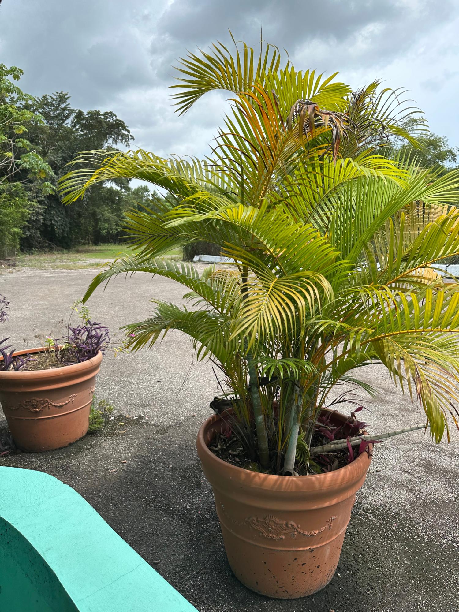 Ninth image of Norman Manley Blvd Beach in Negril, Westmoreland, Jamaica - property is For Rent
