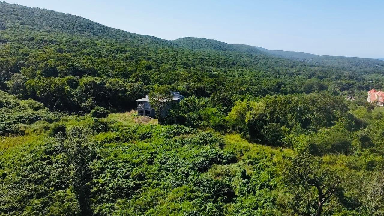 Prime-Development-Land-for-Sale-in-Greenside-Trelawny-Jamaica-Ocean-View-Property Second image of Ocean View. Greenside in Falmouth, Trelawny, Jamaica - property is For Sale