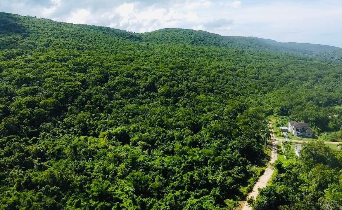 Fifth image of Ocean View. Greenside in Falmouth, Trelawny, Jamaica - property is For Sale