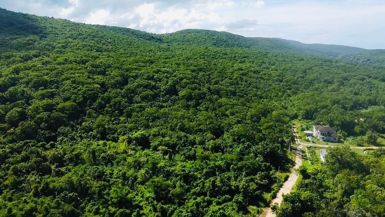 Prime-Development-Land-for-Sale-in-Greenside-Trelawny-Jamaica-Ocean-View-Property Fifth image of Ocean View. Greenside in Falmouth, Trelawny, Jamaica - property is For Sale
