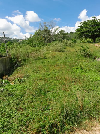 Fourth image of Russel Place, Grove Mount in Caledonia Meadows, Manchester, Jamaica - property is For Sale