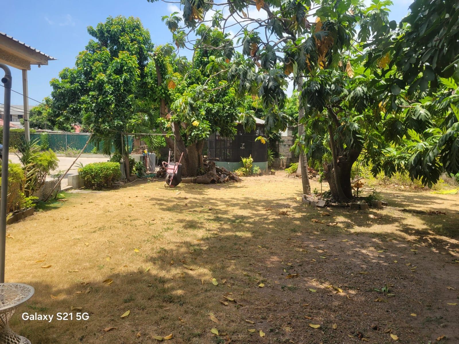 Sixth image of 6 st Michael's Terrace in Kingston 6, St. Andrew, Jamaica - property is For Sale