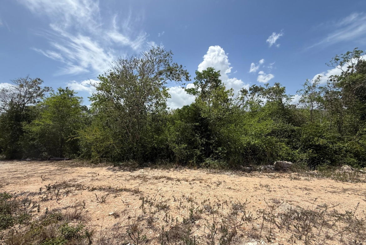 Fourth image of Duncan Bay, Silver Sands in DUNCAN BAY, Trelawny, Jamaica - property is For Sale
