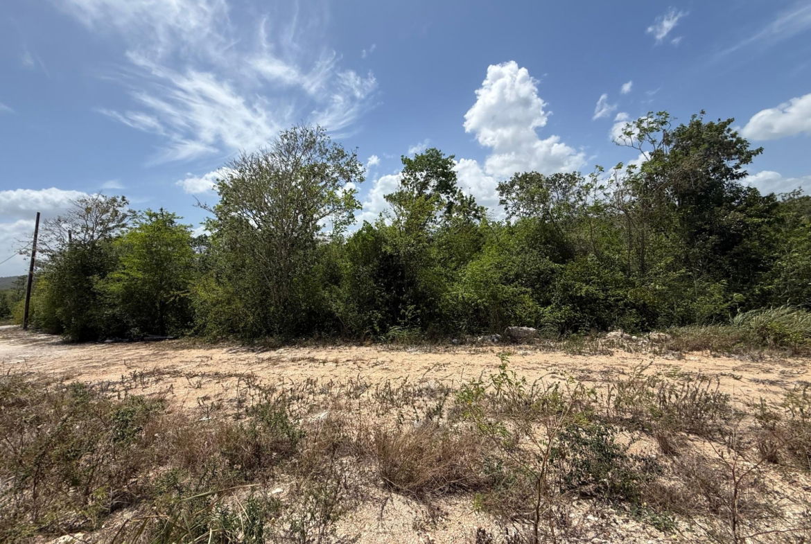 Sixth image of Duncan Bay, Silver Sands in DUNCAN BAY, Trelawny, Jamaica - property is For Sale