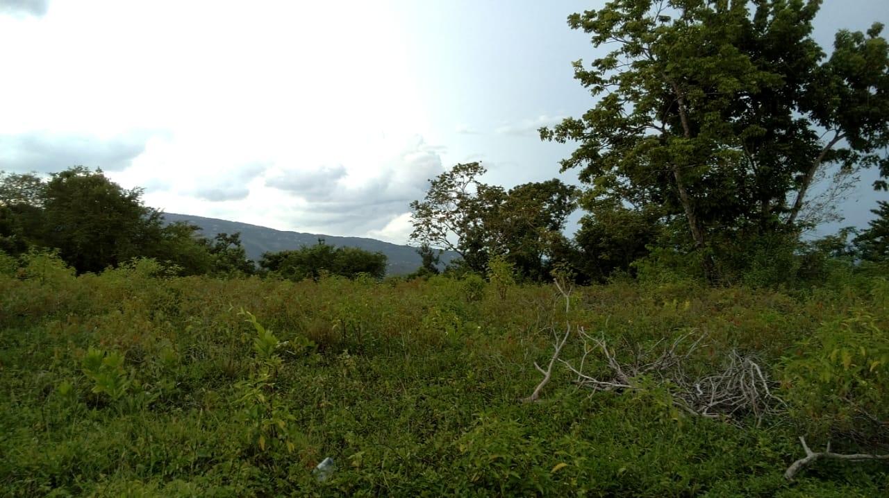Eleventh image of Longwood, Naseberry Lane, in Longwood, St. Elizabeth, Jamaica - property is For Sale