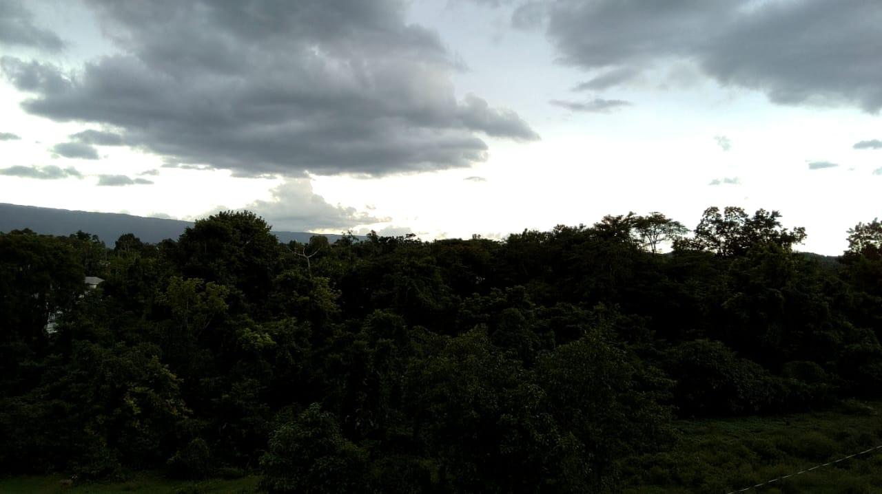 Twelfth image of Longwood, Naseberry Lane, in Longwood, St. Elizabeth, Jamaica - property is For Sale