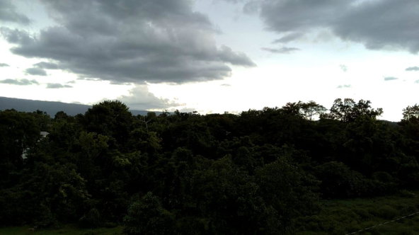 Twelfth image of Longwood, Naseberry Lane, in Longwood, St. Elizabeth, Jamaica - property is For Sale