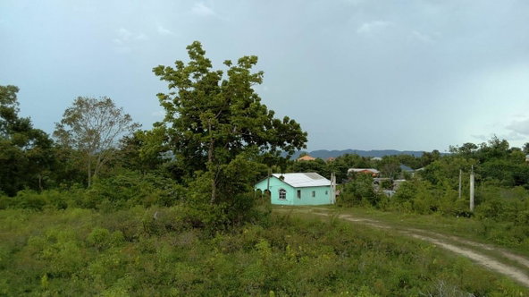 Fifth image of Longwood, Naseberry Lane, in Longwood, St. Elizabeth, Jamaica - property is For Sale