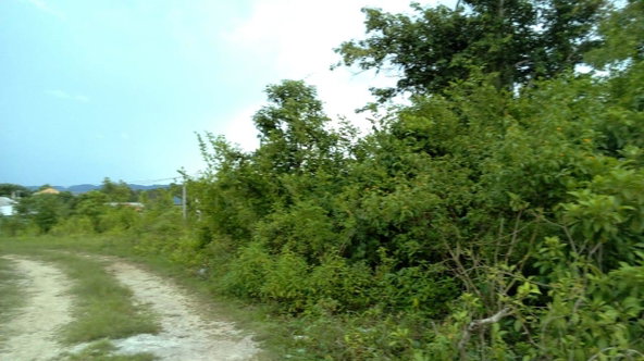 Sixth image of Longwood, Naseberry Lane, in Longwood, St. Elizabeth, Jamaica - property is For Sale