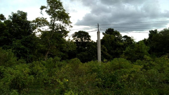 Tenth image of Longwood, Naseberry Lane, in Longwood, St. Elizabeth, Jamaica - property is For Sale
