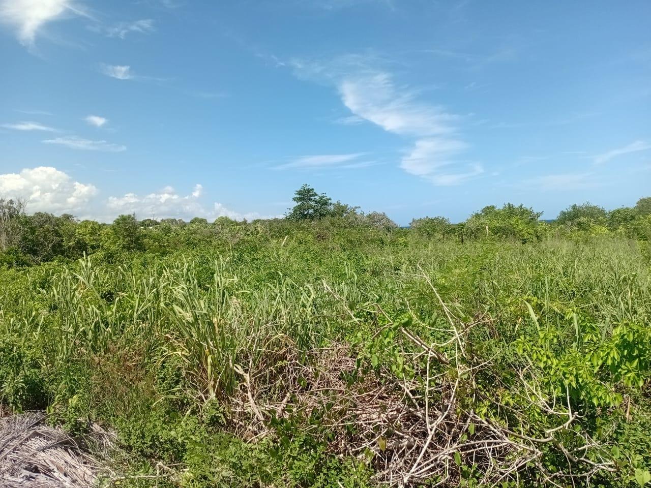 Second image of 11 Dairy in Discovery Bay, St. Ann, Jamaica - property is For Sale