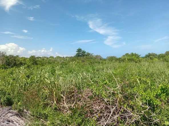 Second image of 11 Dairy in Discovery Bay, St. Ann, Jamaica - property is For Sale