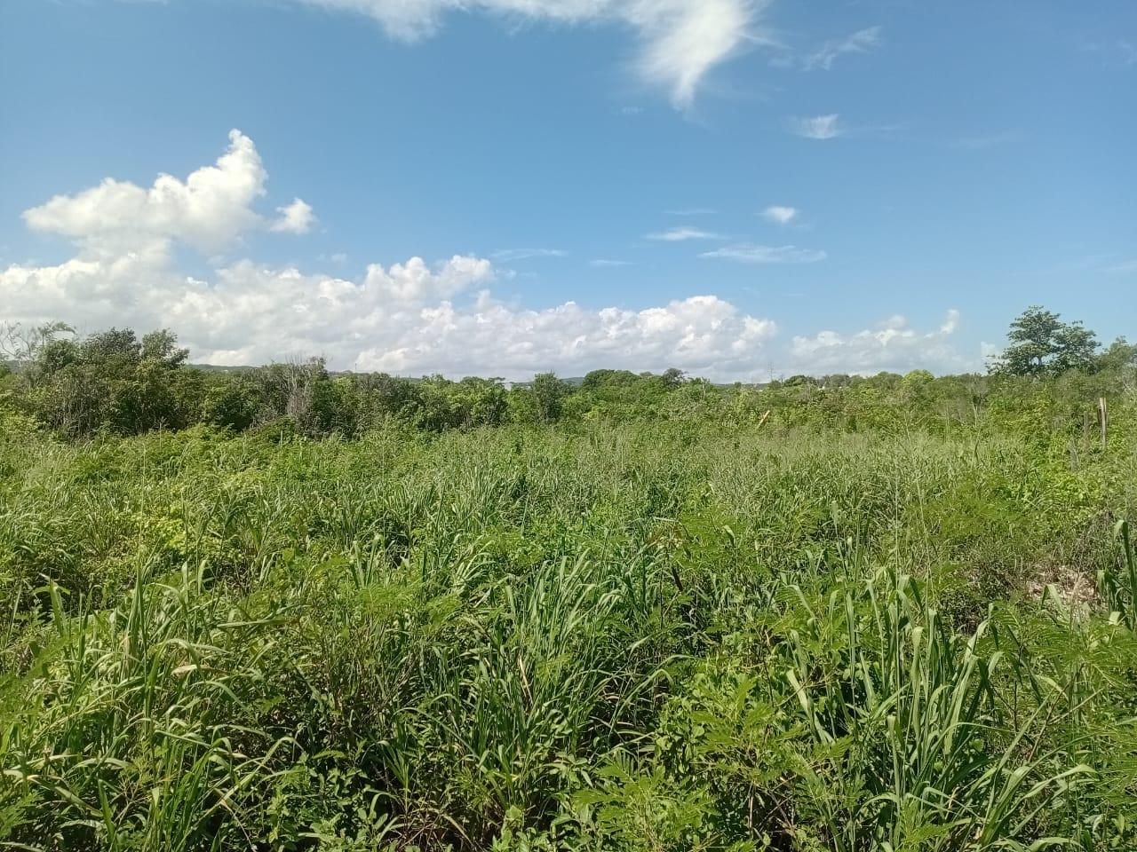 Third image of 11 Dairy in Discovery Bay, St. Ann, Jamaica - property is For Sale