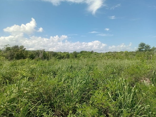 Third image of 11 Dairy in Discovery Bay, St. Ann, Jamaica - property is For Sale