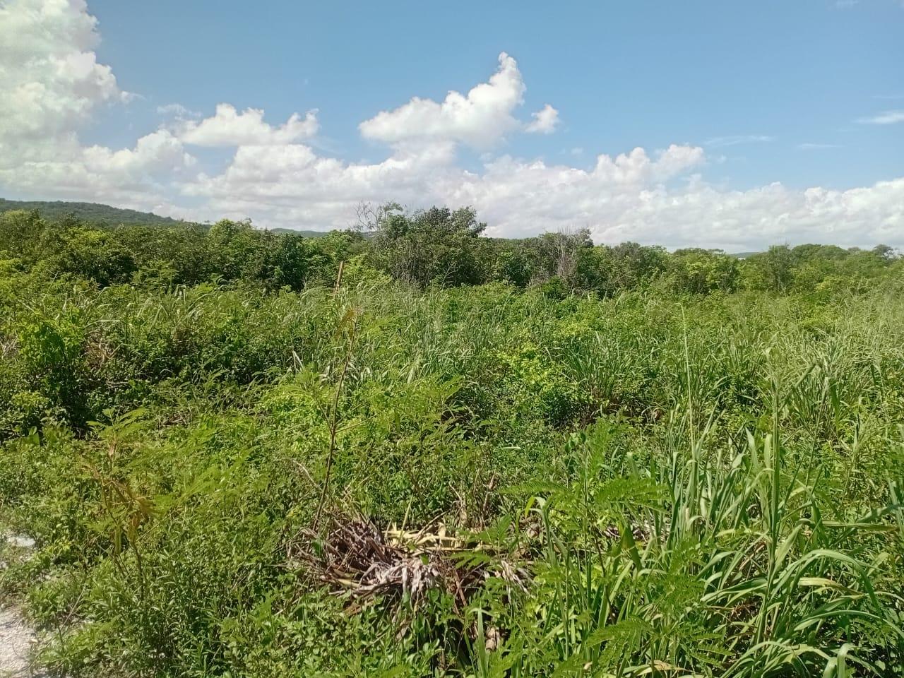 Fourth image of 11 Dairy in Discovery Bay, St. Ann, Jamaica - property is For Sale