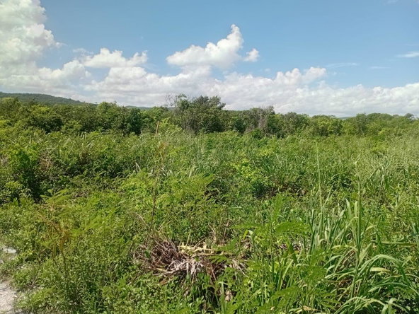 Fourth image of 11 Dairy in Discovery Bay, St. Ann, Jamaica - property is For Sale