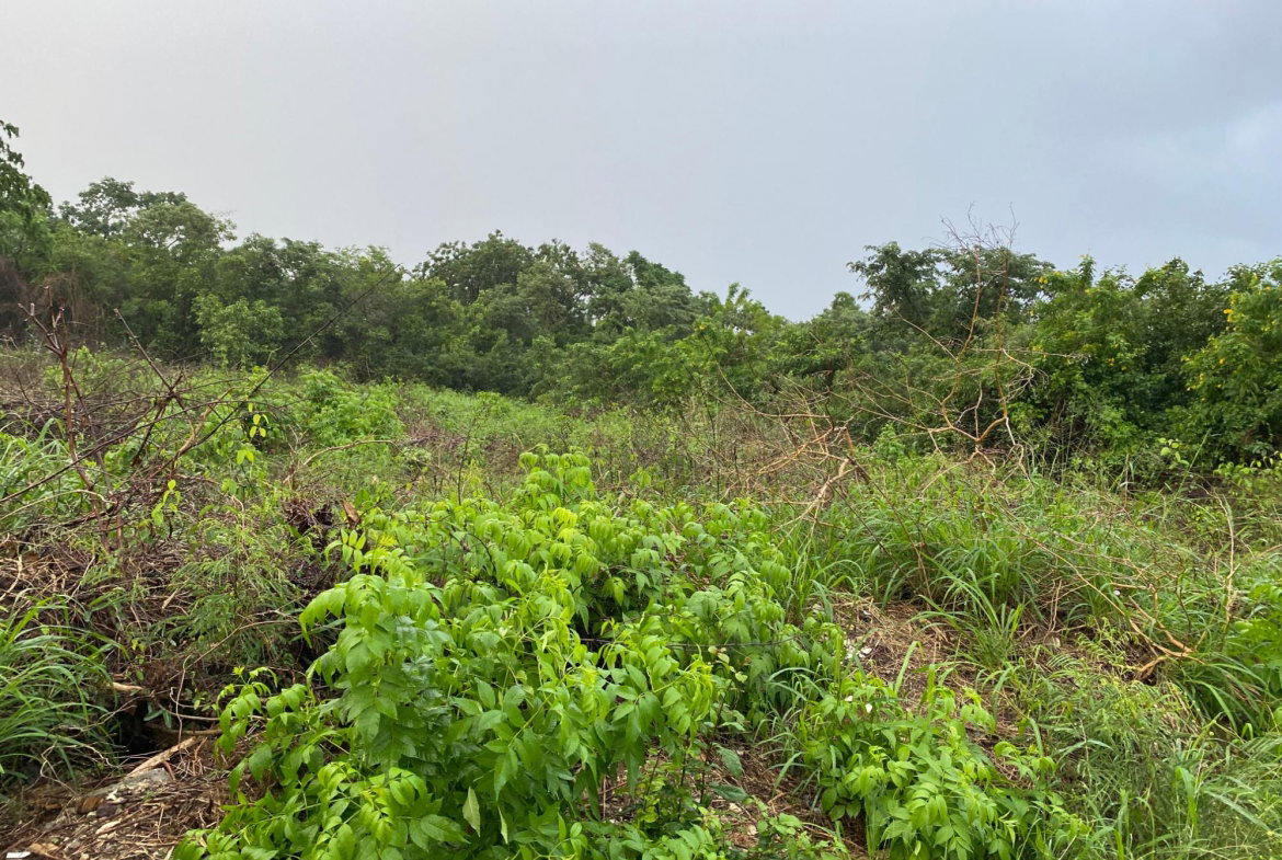 Second image of Lot-27 Greenside Trelawny in Greenside, Trelawny, Jamaica - property is For Sale