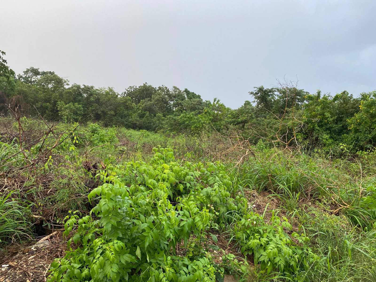 Second image of Lot-27 Greenside Trelawny in Greenside, Trelawny, Jamaica - property is For Sale