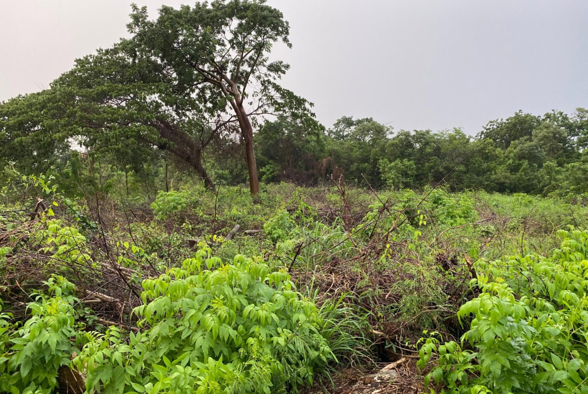 First image of Lot-27 Greenside Trelawny in Greenside, Trelawny, Jamaica - property is For Sale