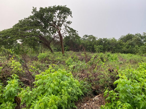 First image of Lot-27 Greenside Trelawny in Greenside, Trelawny, Jamaica - property is For Sale