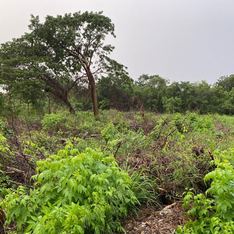 First image of Lot-27 Greenside Trelawny in Greenside, Trelawny, Jamaica - property is For Sale