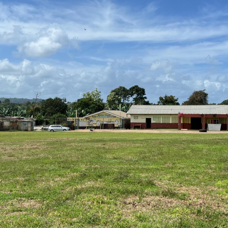First image of 32 Eddesfield in Mango Valley, St. Mary, Jamaica - property is For Sale