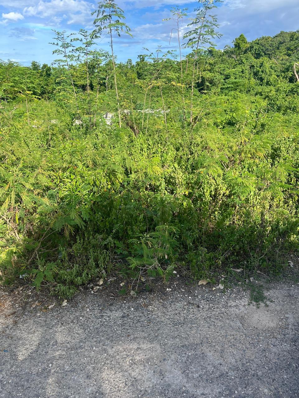 Fifth image of 121 Rockmoor, Oracabessa, St. in Rockmore & Wilderness, St. Mary, Jamaica - property is For Sale