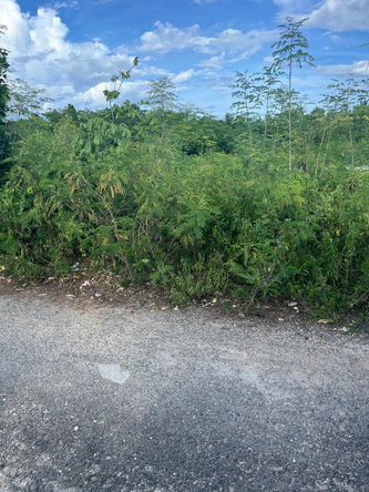 Ninth image of 121 Rockmoor, Oracabessa, St. in Rockmore & Wilderness, St. Mary, Jamaica - property is For Sale