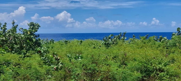Eighth image of Lot 30 Rockmoor in Oracabessa, St. Mary, Jamaica - property is For Sale