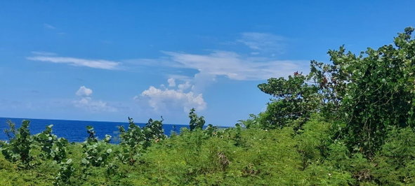 Ninth image of Lot 30 Rockmoor in Oracabessa, St. Mary, Jamaica - property is For Sale