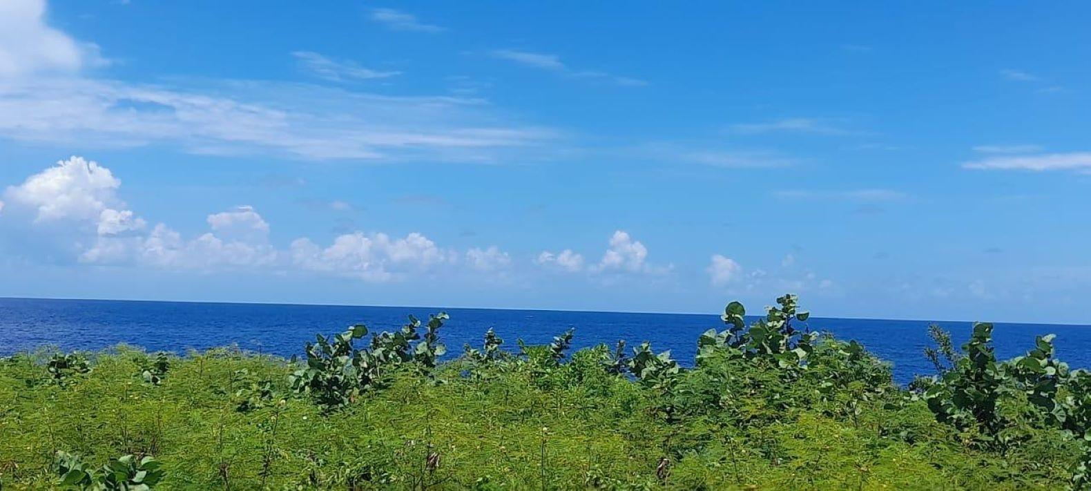 First image of Lot 30 Rockmoor in Oracabessa, St. Mary, Jamaica - property is For Sale