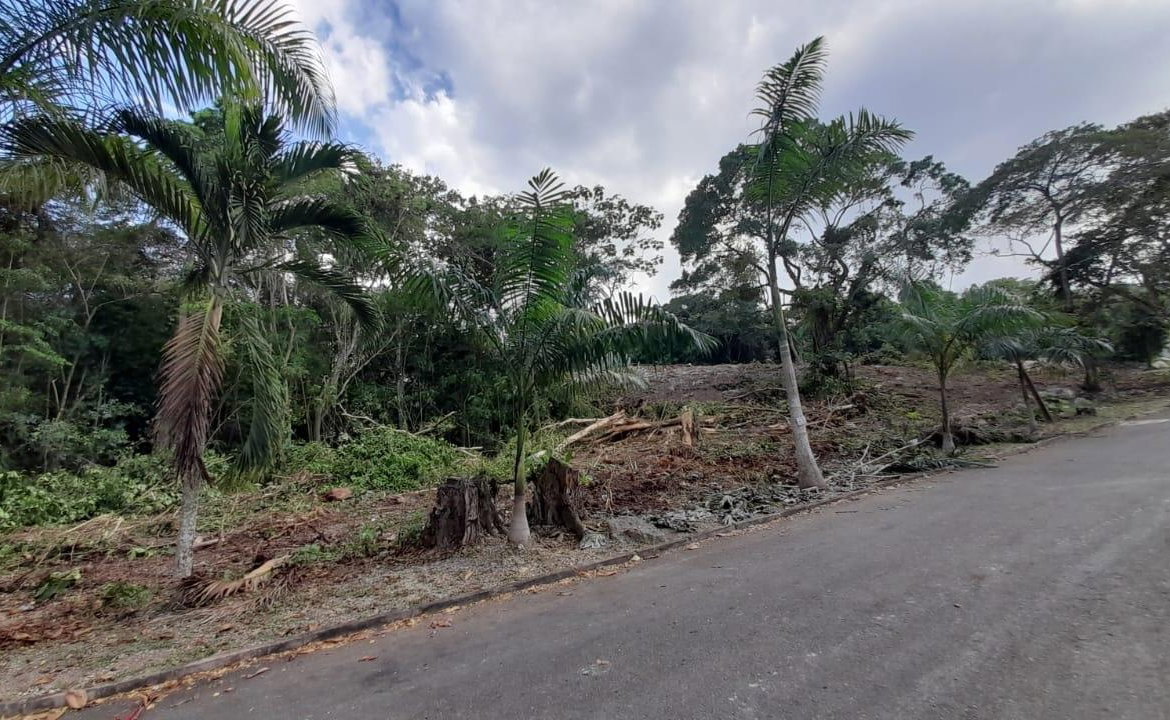 First image of 63 Roystonea in Tower Isle, St. Mary, Jamaica - property is For Sale