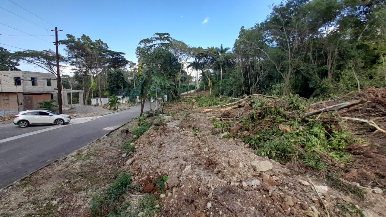 Third image of 63 Roystonea in Tower Isle, St. Mary, Jamaica - property is For Sale