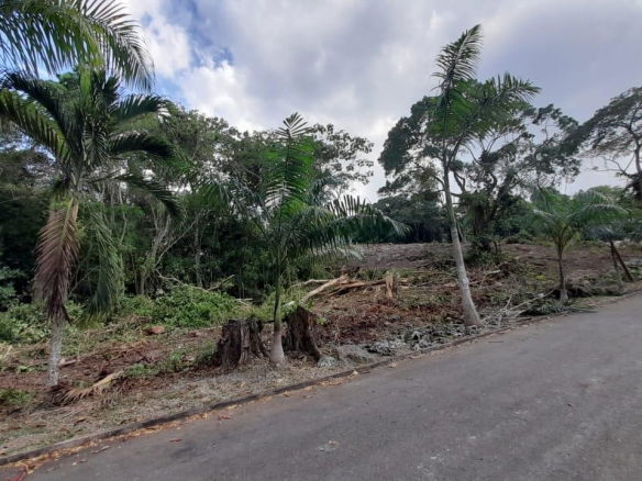 First image of 63 Roystonea in Tower Isle, St. Mary, Jamaica - property is For Sale