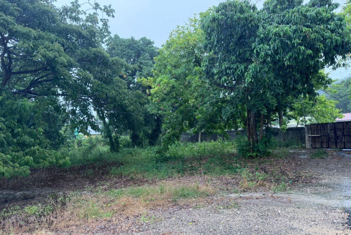 Fourth image of Lot 1- Liberty Castle, Morley in Liberty Castle, St. Mary, Jamaica - property is For Sale