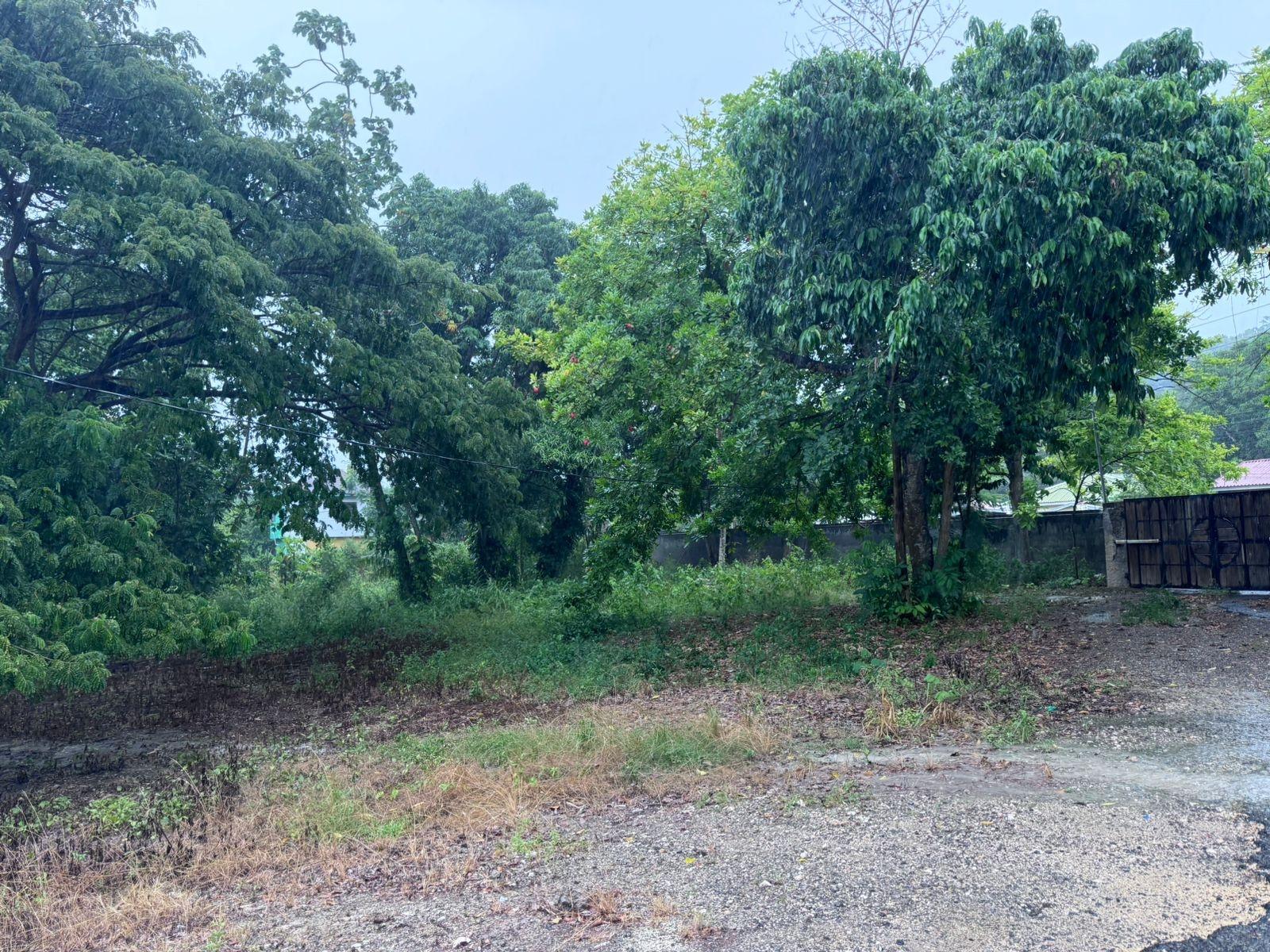 Fourth image of Lot 1- Liberty Castle, Morley in Liberty Castle, St. Mary, Jamaica - property is For Sale