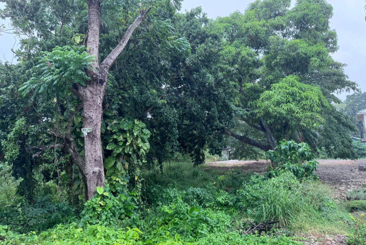 Fifth image of Lot 1- Liberty Castle, Morley in Liberty Castle, St. Mary, Jamaica - property is For Sale
