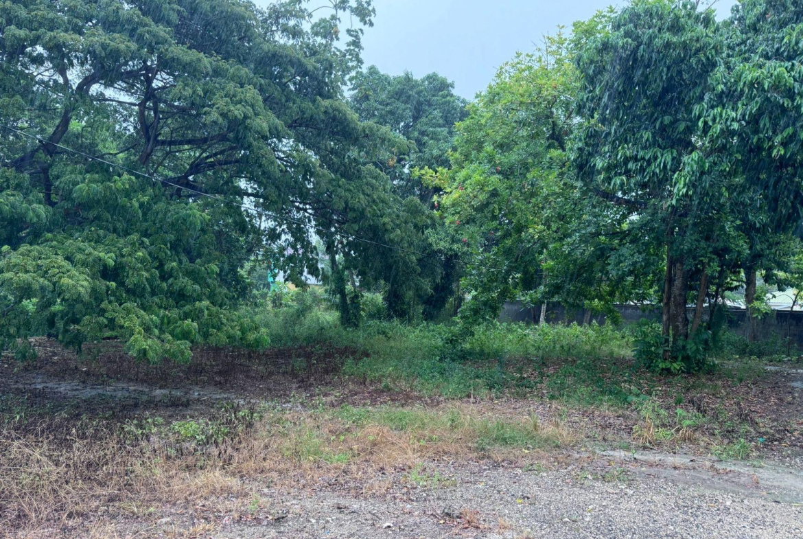 Third image of Liberty Castle, Morley in Liberty Castle, St. Mary, Jamaica - property is For Sale