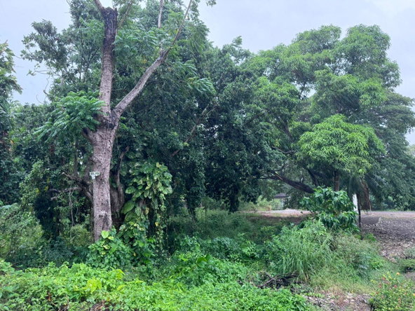Fifth image of Liberty Castle, Morley in Liberty Castle, St. Mary, Jamaica - property is For Sale