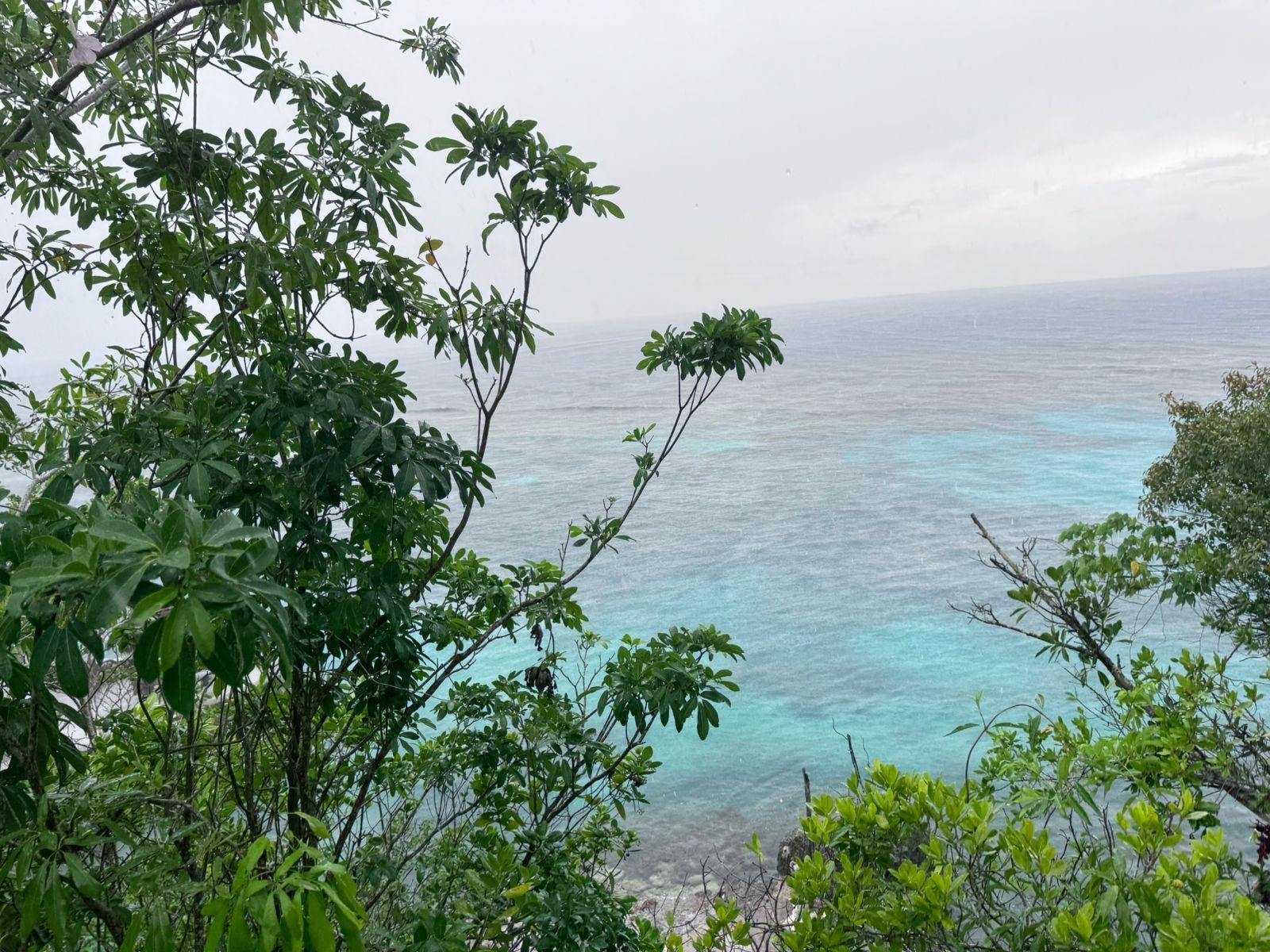 Eighth image of Liberty Castle, Morley in Liberty Castle, St. Mary, Jamaica - property is For Sale
