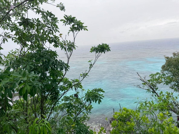 Eighth image of Liberty Castle, Morley in Liberty Castle, St. Mary, Jamaica - property is For Sale