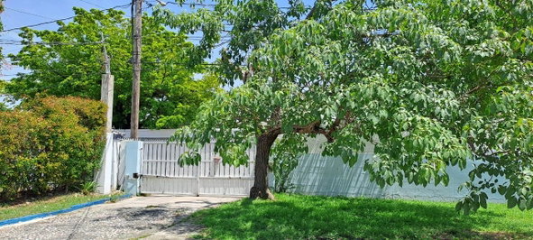 Fifth image of Devon Road in Kingston 10, St. Andrew, Jamaica - property is For Rent