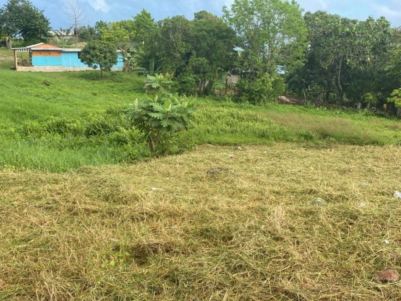 First image of Lot 4 Beecher Town Salisbury st in Beecher Town, St. Ann, Jamaica - property is For Sale