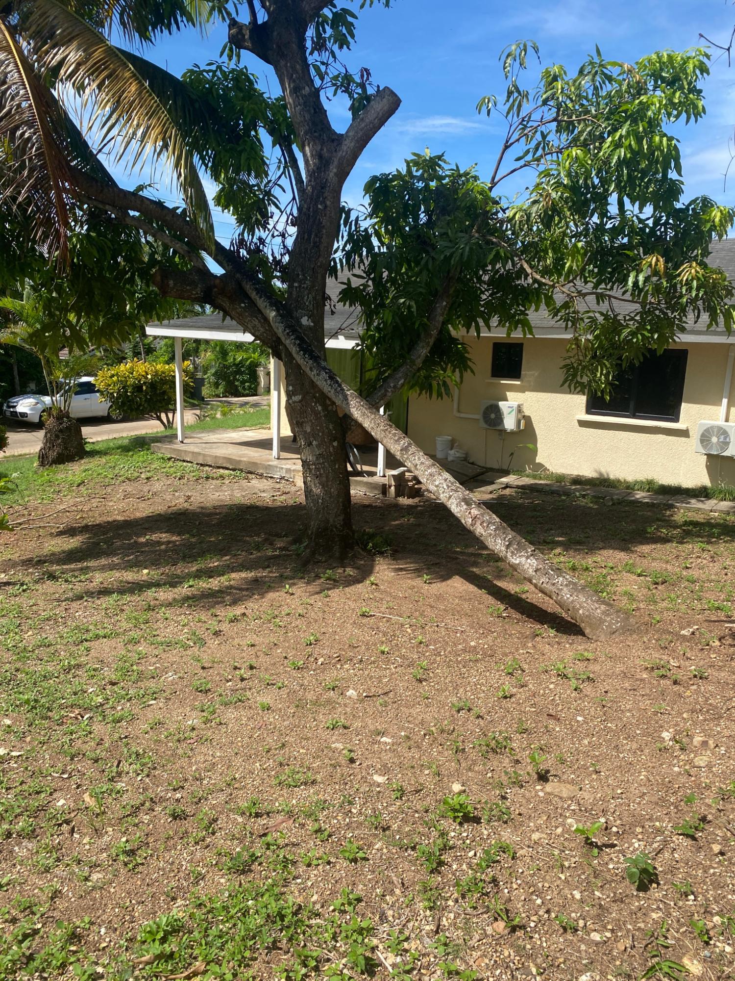 Fourth image of St.mary Country Club in St. Mary Country Club, St. Mary, Jamaica - property is For Sale